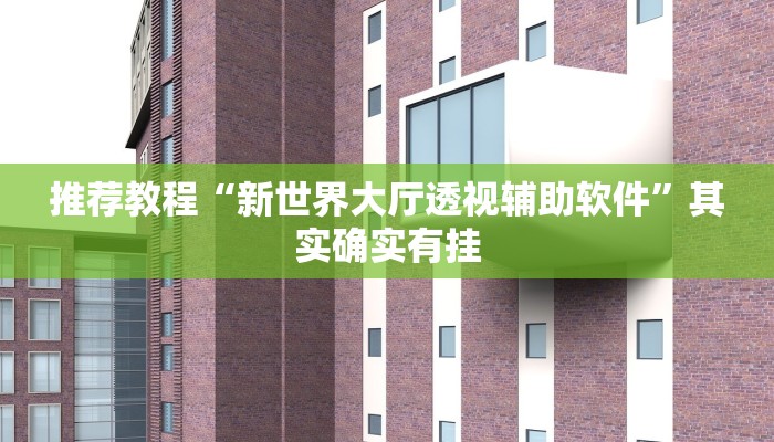 推荐教程“新世界大厅透视辅助软件”其实确实有挂