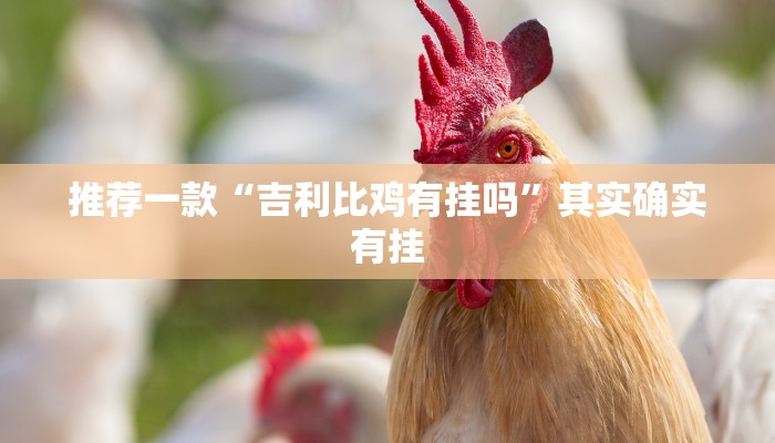 推荐一款“吉利比鸡有挂吗”其实确实有挂