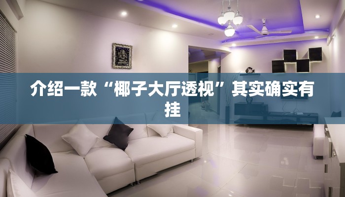 介绍一款“椰子大厅透视”其实确实有挂