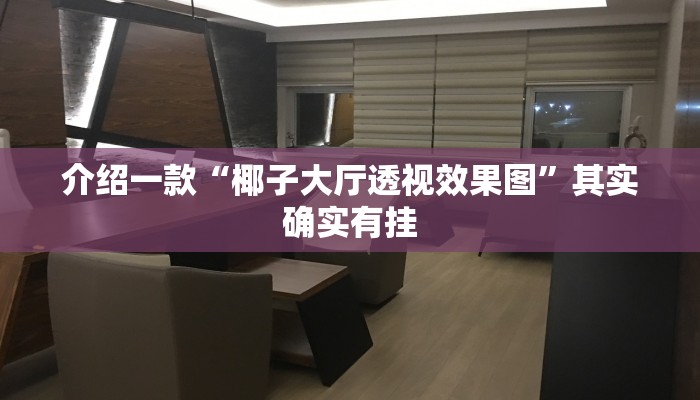 介绍一款“椰子大厅透视效果图”其实确实有挂