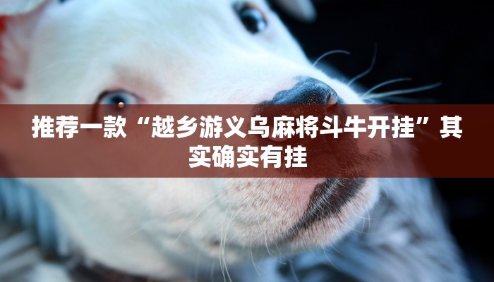推荐一款“越乡游义乌麻将斗牛开挂”其实确实有挂