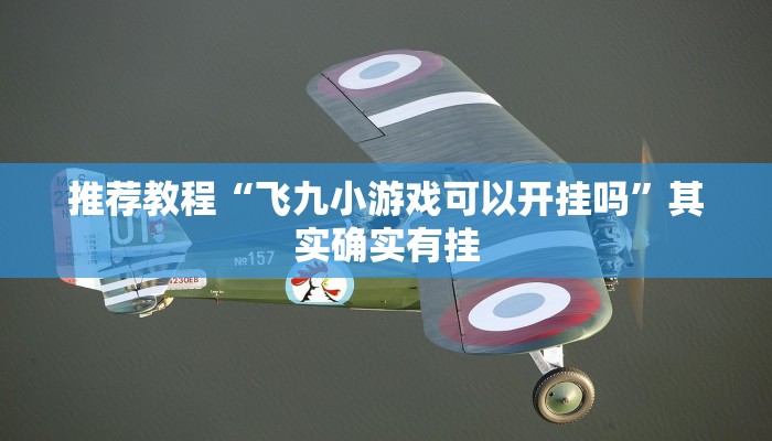 推荐教程“飞九小游戏可以开挂吗”其实确实有挂