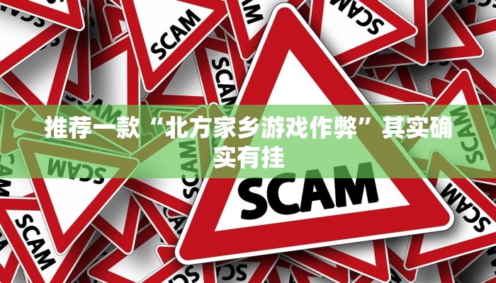推荐一款“北方家乡游戏作弊”其实确实有挂