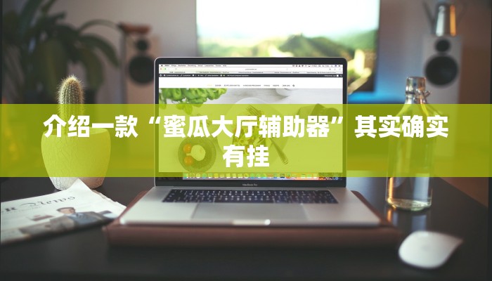 介绍一款“蜜瓜大厅辅助器”其实确实有挂