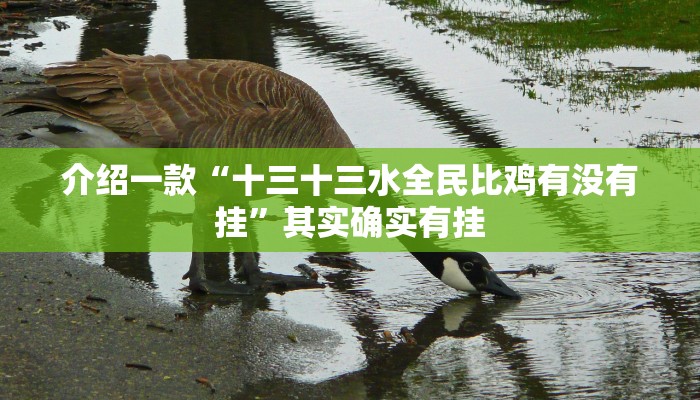 介绍一款“十三十三水全民比鸡有没有挂”其实确实有挂