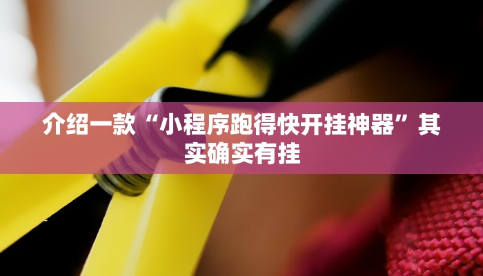 介绍一款“小程序跑得快开挂神器”其实确实有挂