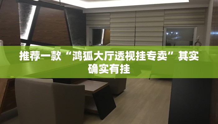 推荐一款“鸿狐大厅透视挂专卖”其实确实有挂