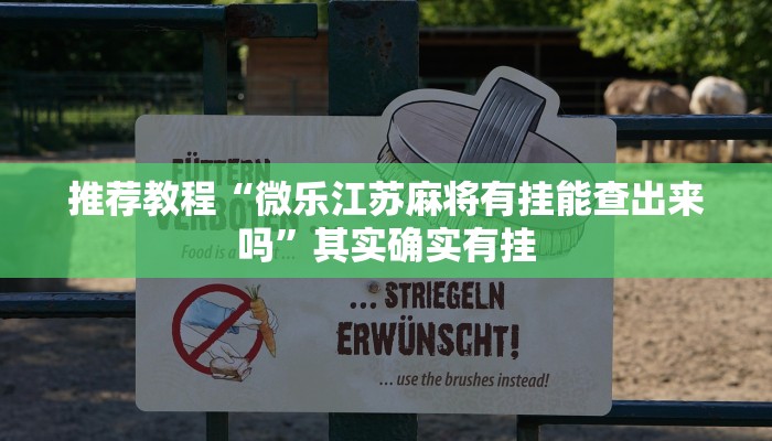 推荐教程“微乐江苏麻将有挂能查出来吗”其实确实有挂
