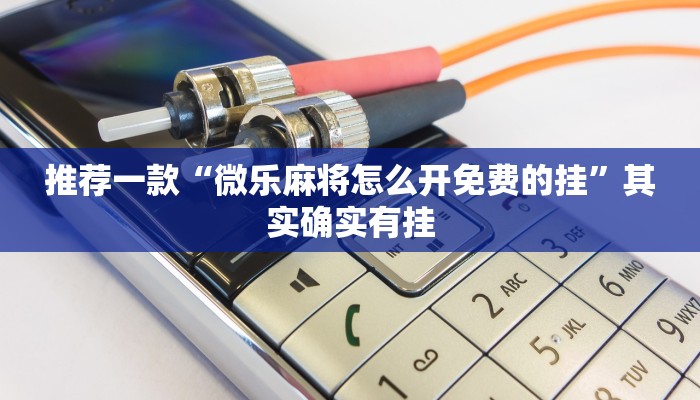 介绍一款“微乐卡五星辅助器”其实确实有挂