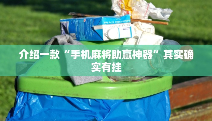介绍一款“手机麻将助赢神器”其实确实有挂