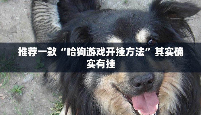 推荐一款“哈狗游戏开挂方法”其实确实有挂