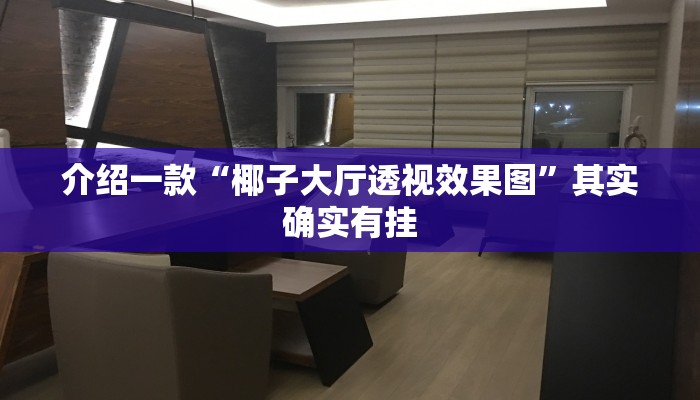 介绍一款“椰子大厅透视效果图”其实确实有挂