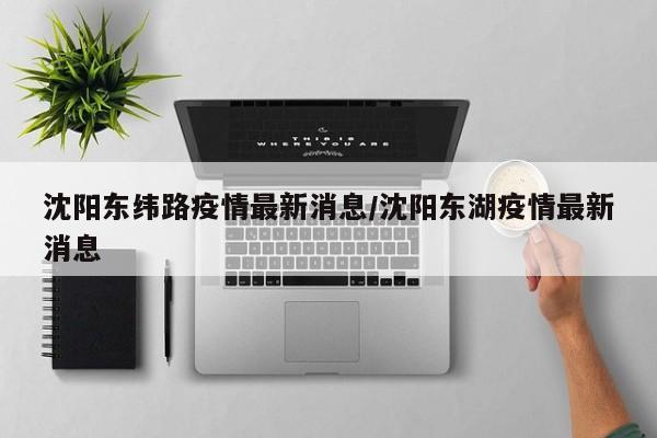 沈阳东纬路疫情最新消息/沈阳东湖疫情最新消息