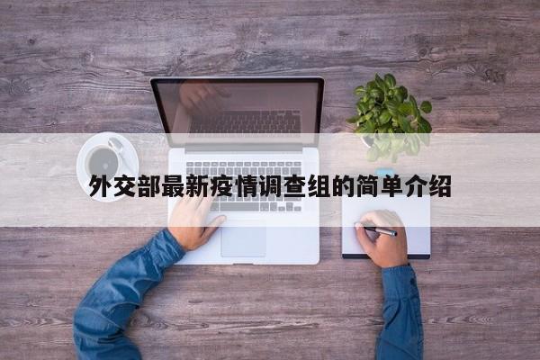 外交部最新疫情调查组的简单介绍