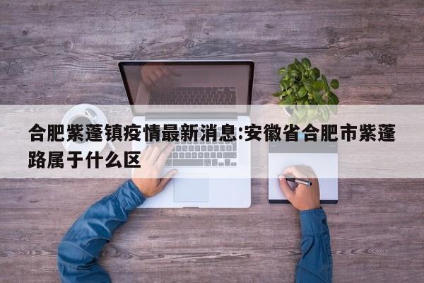 合肥紫蓬镇疫情最新消息:安徽省合肥市紫蓬路属于什么区